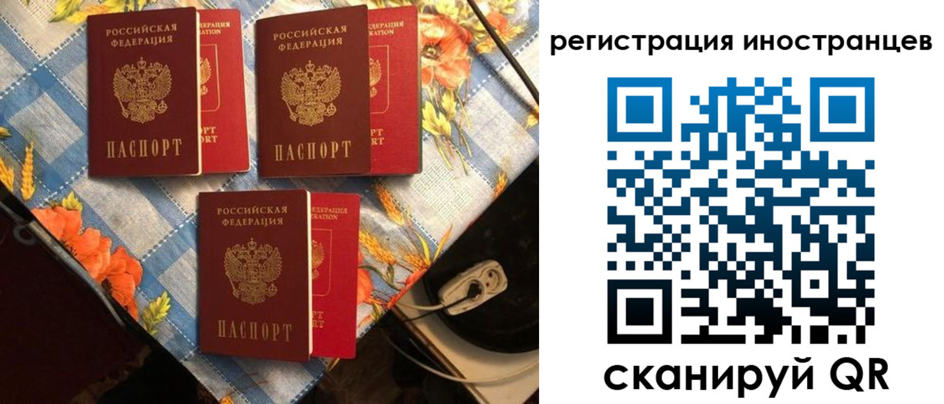 прописка поиск в Тайге